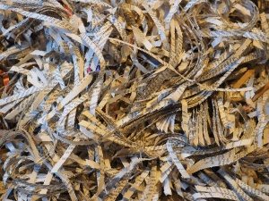 shredder shredder